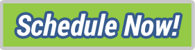 schedule now